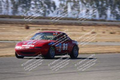 media/Nov-16-2024-CalClub SCCA (Sat) [[641f3b2761]]/Group 4/Grid and Front Straight/